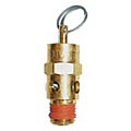 Pneumatic Safety Valves image
